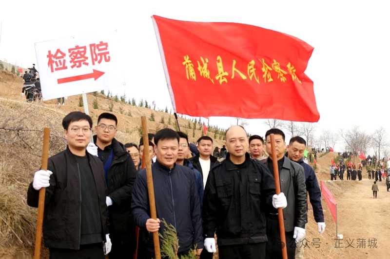 蒲城县人民检察院组织开展义务植树活动。