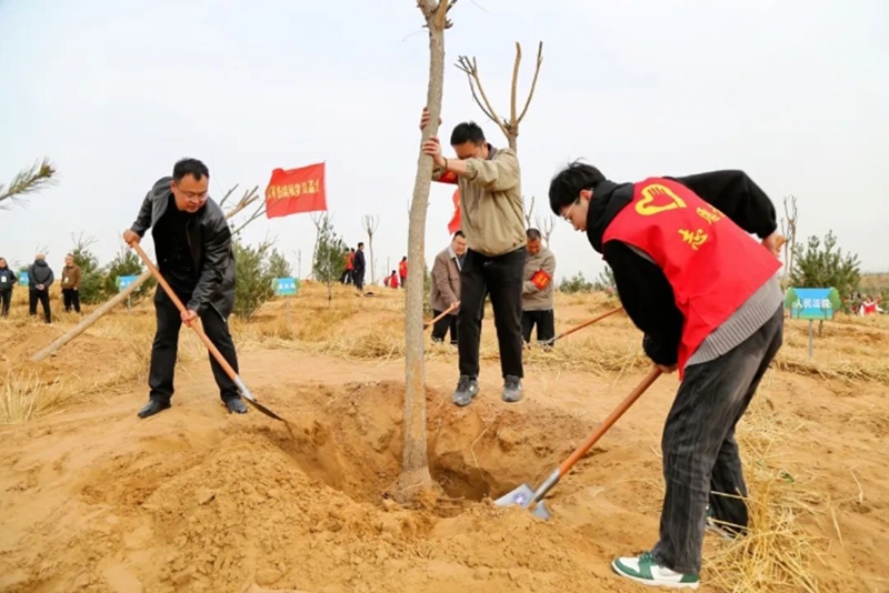 大荔法院积极参加春季义务植树活动。