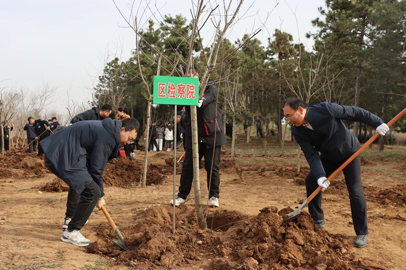 临渭区人民检察院组织二十余名干警志愿者前往渭南植物园开展植树活动。