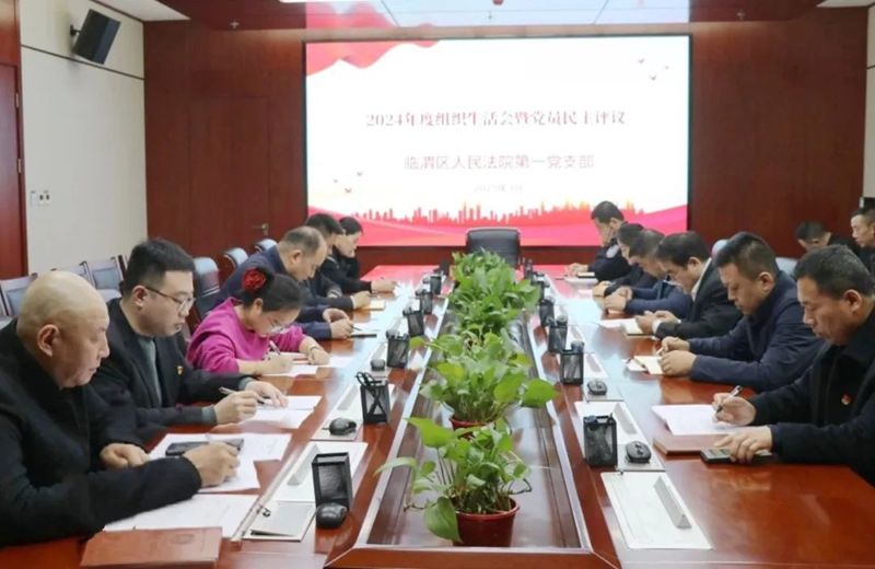 临渭法院各党支部召开2024年度组织生活会和民主评议党员大会。