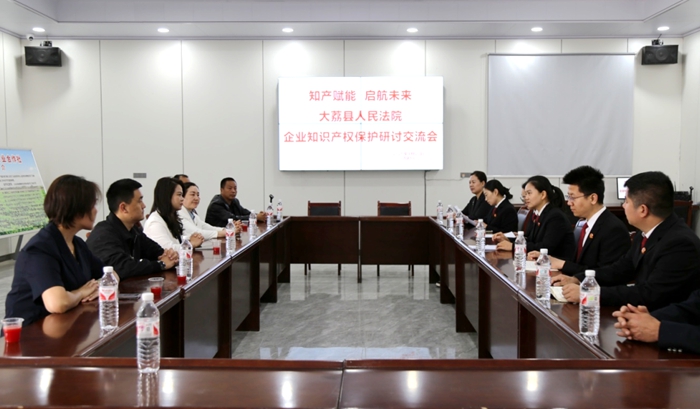 大荔法院开展企业知识产权保护研讨交流会.