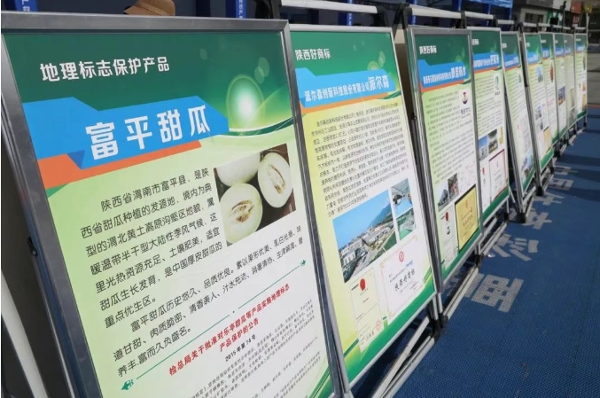微信截图_20250425165725