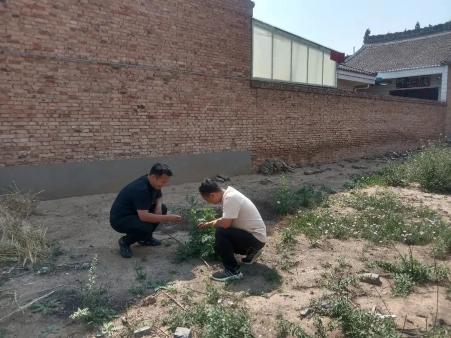 微信图片_20250624100350