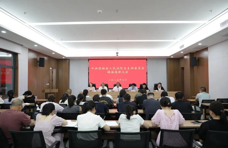 中共澄城县人民法院总支委员会换届选举圆满完成。
