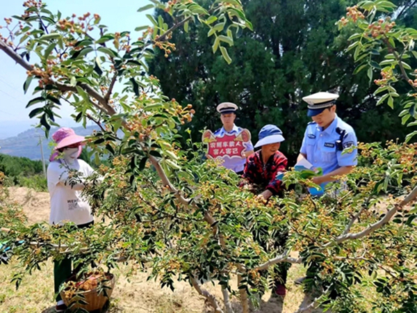 韩城市公安局交警大队开展花椒采摘期间交通安全宣传活动。