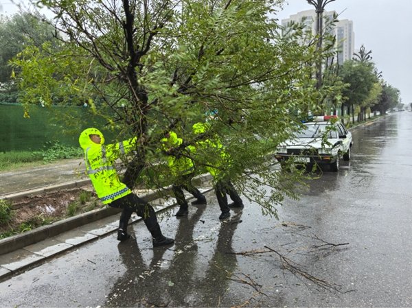 微信图片_2025-10-10_094658_716