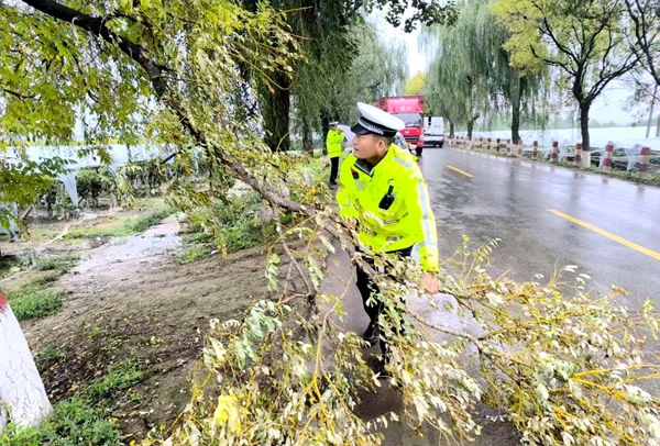 临渭交警快速处置倒伏树木保畅通。