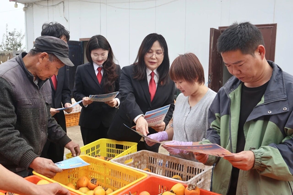 富平法院庄里法庭法官干警深入辖区六联村开展普法宣传活动。