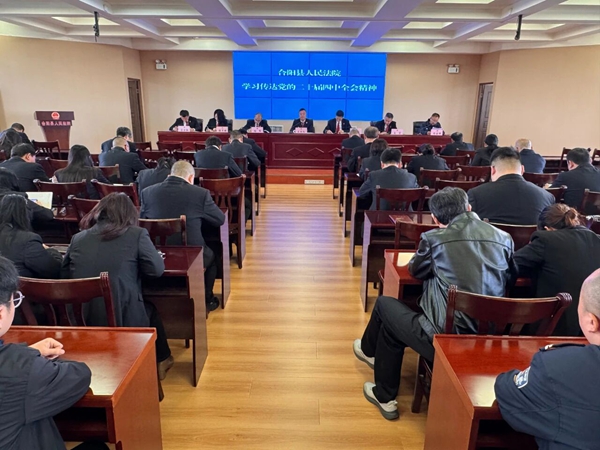 合阳法院召开专题会议传达学习党的二十届四中全会精神。