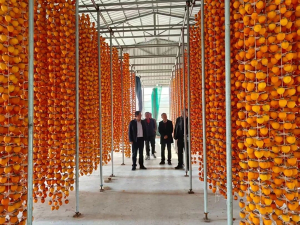 富平县检察院党组书记、检察长许军望一行走访包联村曹村镇东沟村。