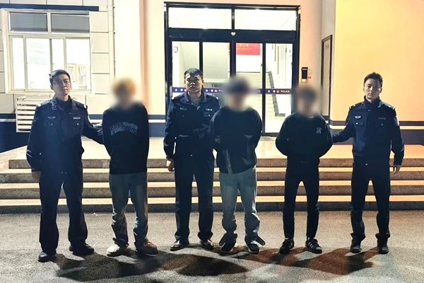 大荔公安东关派出所破获盗窃案。