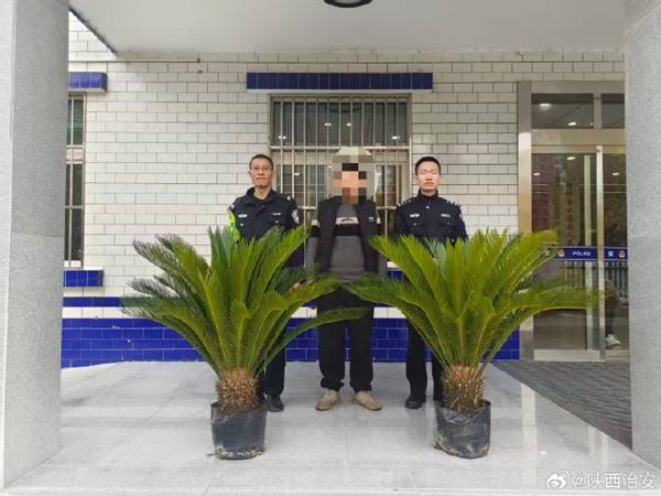 合阳公安金水派出所快速破获盗窃案。