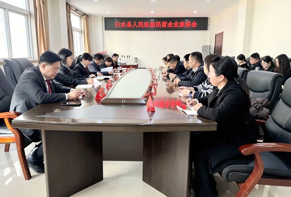 白水法院召开民营企业座谈会