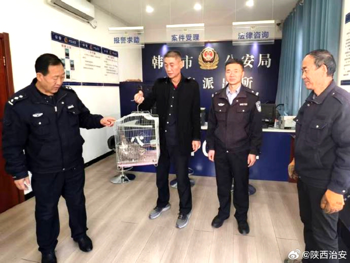 韩城警民携手救助一只国家二级保护动物雀鹰。 韩城警民携手救助一只国家二级保护动物雀鹰。