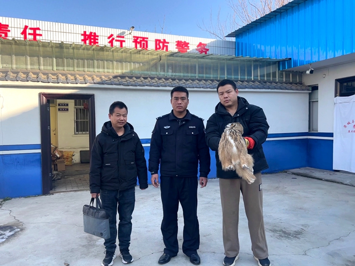 澄城警民携手救助国家二级保护动物。 澄城警民携手救助国家二级保护动物。