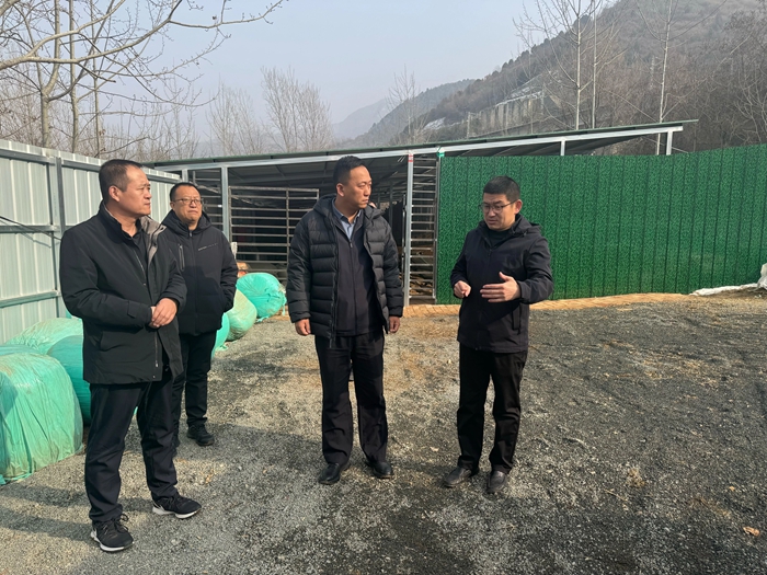 临渭区检察院扎实开展“送温暖、办实事”“送政策、优服务”活动。 临渭区检察院扎实开展“送温暖、办实事”“送政策、优服务”活动。