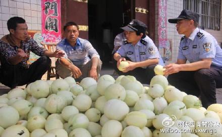 富平张桥派出所立足服务辖区经济发展，组织民警深入田间地头向瓜农和客商了解治安情况，切实维护甜瓜销售秩序。